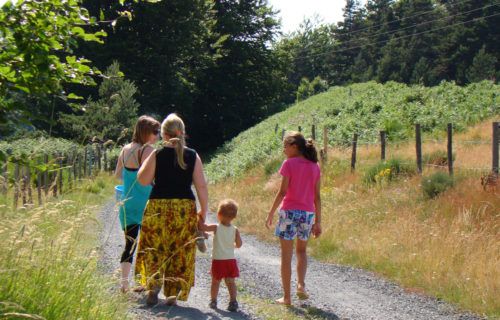 Balade autour du gîte