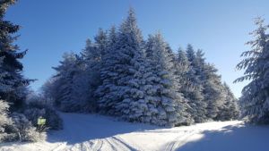 Gîte de groupe Les Éperviers - En hiver